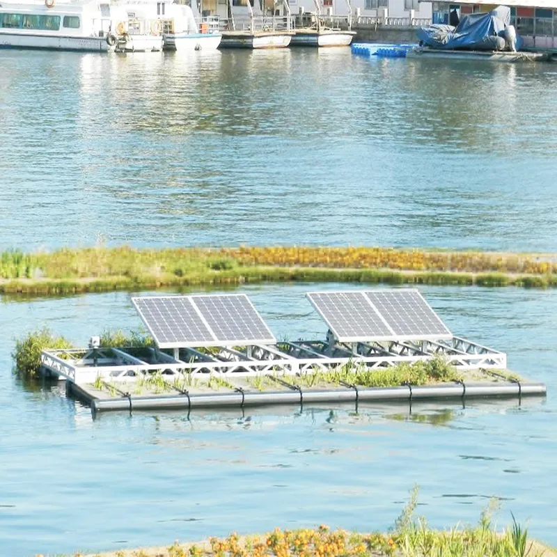 Proyecto de gestión del río